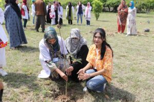 blogimage3